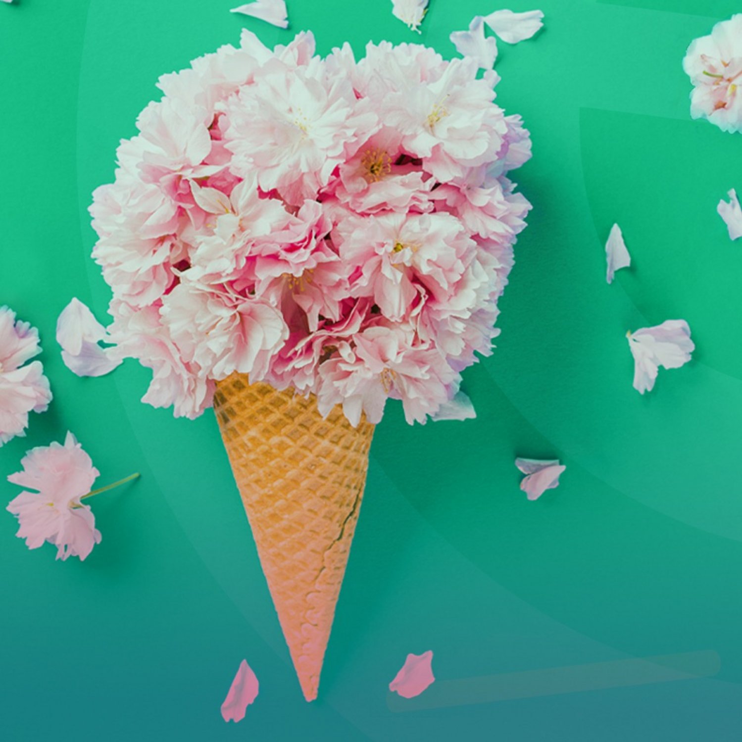 Eisstanitzel, in dem aber keine Eiskugel ist, sondern rosa Blüten. Grüner Hintergrund.