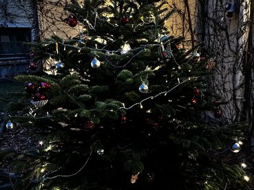 Geschmückter Christbaum vor dem eingang des equalizent