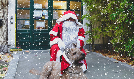 Weihnachtsmann und Hund mit Weihnachtsmann-Haube stehen bzw. sitzen im Hof vor dem equalizent-Eingang.